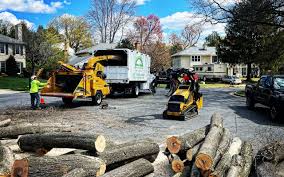 Best Grass Overseeding  in Mountain Lodge Park, NY